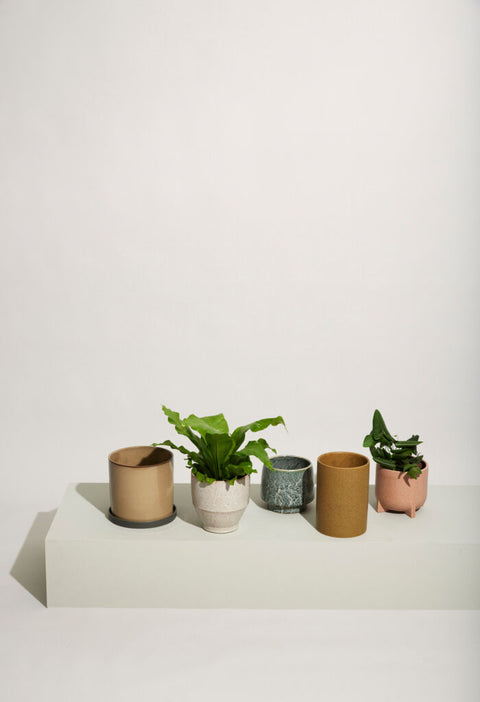 Era Pots Brown (set of 2)