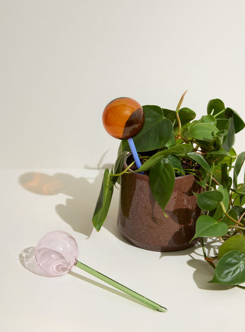 Flora Aqua globe Amber/Blue