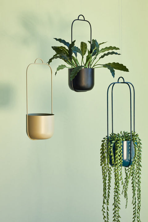 Lotus Hanging Pots Black (set of 2)