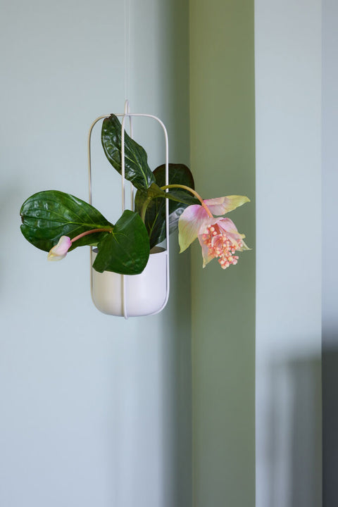 Lotus Hanging Pots Light grey (set of 2)