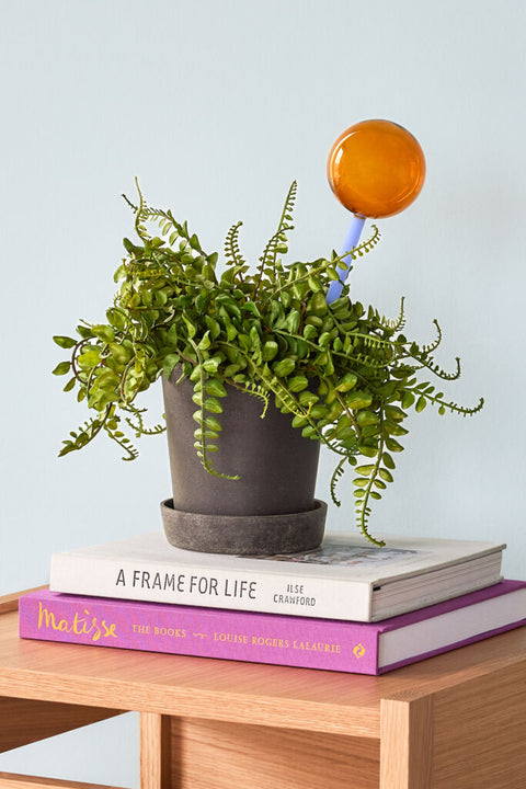 Podium Pots Small Black (set of 2)