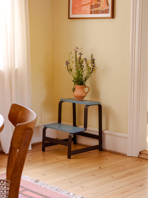 Step Stool Blue/Brown