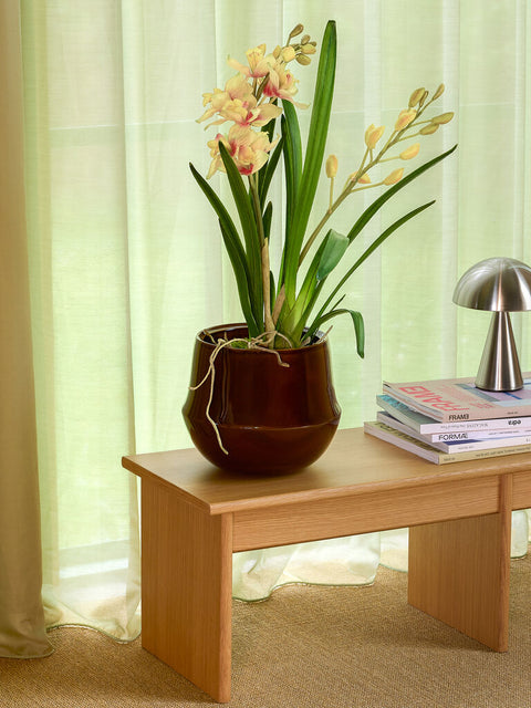 Vibe Pots Brown (set of 2)